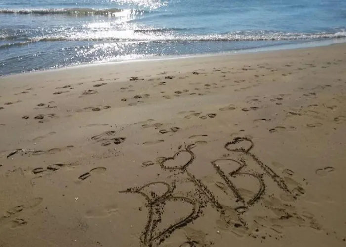 Bright And Comfortable Flat Daire